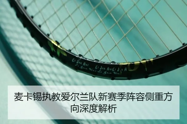 麦卡锡执教爱尔兰队新赛季阵容侧重方向深度解析